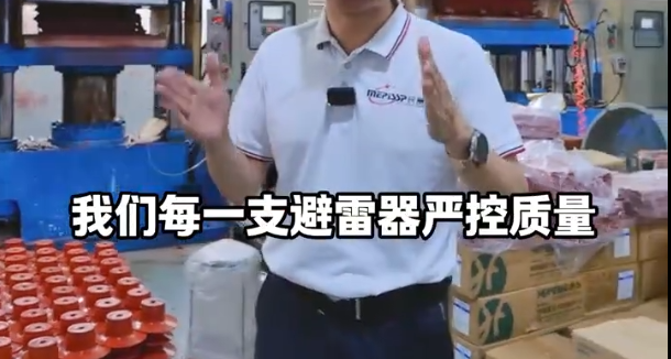 立博中国避雷器坚守品质 欢迎洽谈